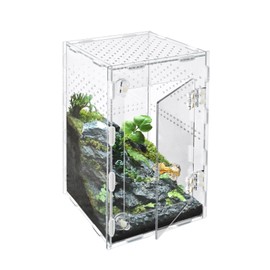 Acrylic Jumping Spider Enclosure Box: 10x6x6 Inch Transparent Habitat with Ventilation Holes, Escape-Proof Terrarium for Reptile Pet, Easy to Clean & Observe