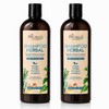 PACALLI Shampoo de Romero 2x410ml Rosemary Shampoo with Ginger Nettle