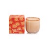 PASSIONFRUIT Nectarine Zodax Serena Saint Barth Scented Jar Candle 14.5