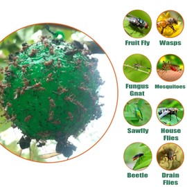 osseph Fruit Fly Traps Ball Fly Trap Indoor, 6 PCS Hanging Bugs Sticky Ball Fly Trap Outdoor, Gnat Trap Ball for Indoor Outdoor House Kitchen Plants Trees (6PCS, Green)