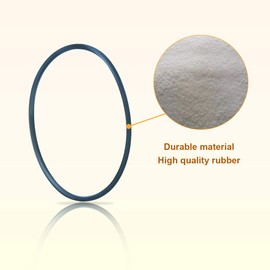 192320 O-Ring Bulkhead Replacement Pool and Spa Filter (1, 192320)