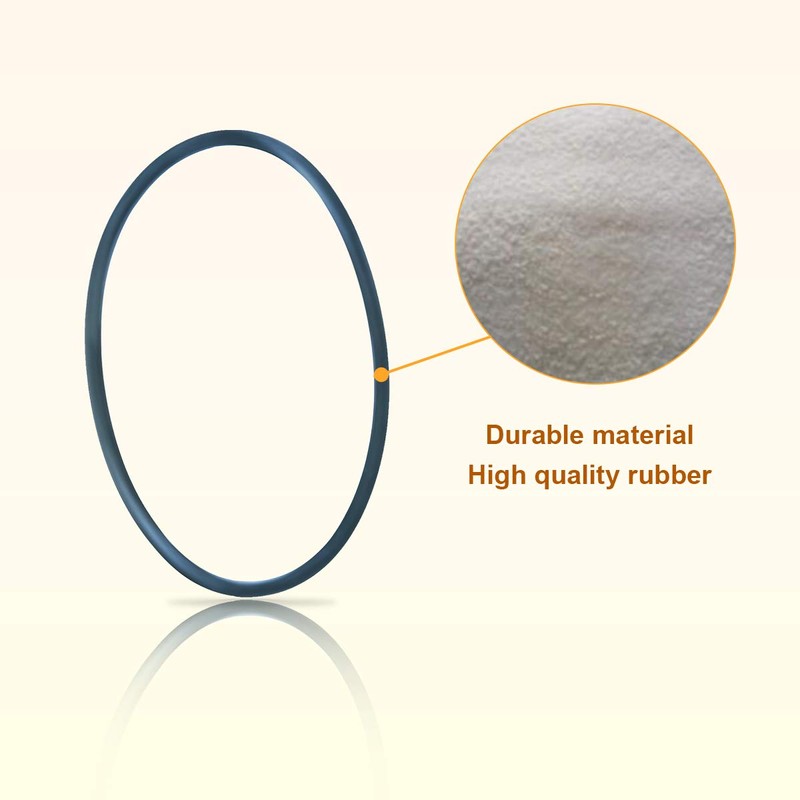 192320 O-Ring Bulkhead Replacement Pool and Spa Filter (1, 192320)