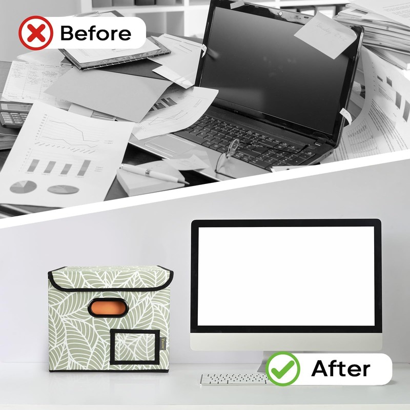 BALEINE File Organizer Box with Lid, Collapsible File Folder Organizer