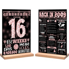 16th Birthday Party Decorations for Girl Boy, Sweet Back in 2009 Birthday Decor Poster Acrylic Table Sign, 16th Birthday Party Supplies, Double-Sided