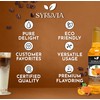 Syruvia Pumpkin Spice Syrup – Pumpkin Spice Coffee Syrup Flavor,