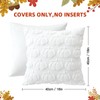 JOTOM Fall Cushion Covers 40x40cm Set of 2 Pumpkin Autumn