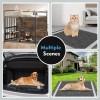 SCLOSE Charcoal Pee Pads for Dogs, 36"x44", Extra Large Puppy