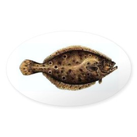 CafePress Flounder Sticker Oval Car Bumper Sticker