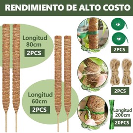 4 Pcs Tutor para Plantas,con 2 Varilla Flexible para Musgo de 80 cm y 2 Tutor para Plantas Trepadoras de 60 cm, 5 Piezas de Accesorios, Poste de Musgo Flexible para Planta Monstera, Columpio