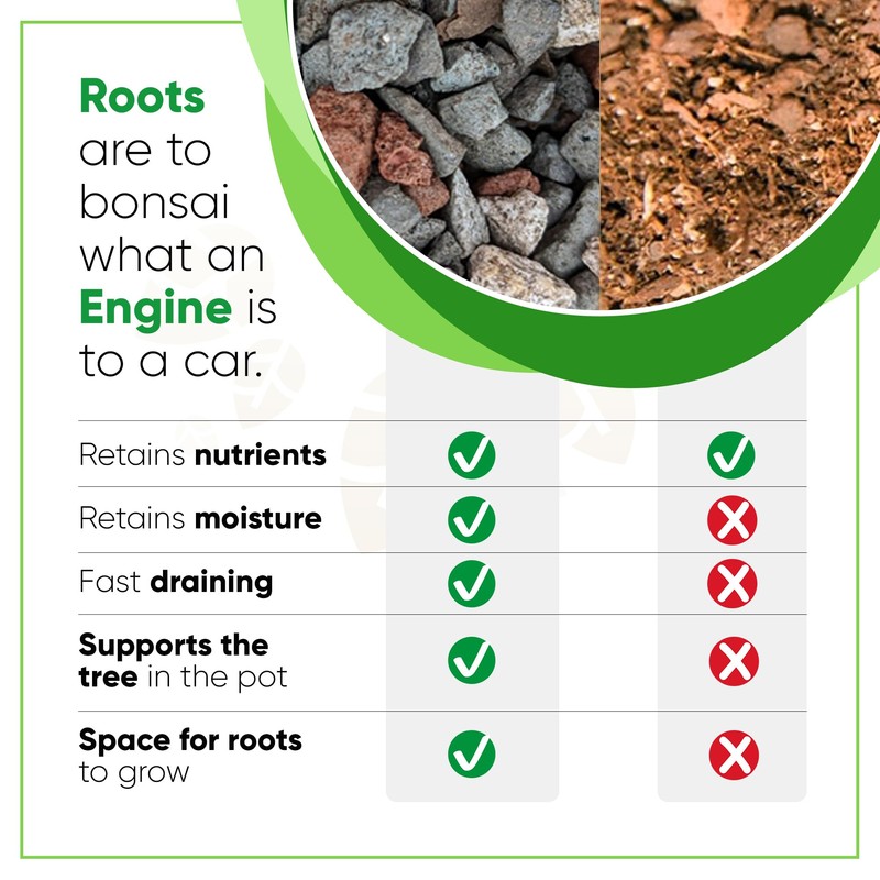 Bonsai Outlet Bonsai Soil Mix - Tinyroots All Purpose Bonsai