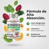 Irongreen Hierro Suplemento Bisglicinato Vitamina Complejo Betabel Espirulina Espinaca Bioperine