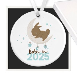 Ceramic Born In 2025 Hanging Plaque with Gift Box - Newborn Keepsake Gift for Baby Boy/Grandson/Nephew/Son (2025 Ceramic Plaque, Blue)