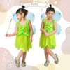 Artec Princess Dress Fairy 18392