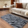 Ailyei Soft Runner Rugs for Bedroom Hallways, 2x4 Black and