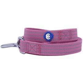Blueberry Pet Essentials Reflective Back to Basics Dog Leash, Mauve Orchid, 5 ft x 5/8", Small, Leashes for Dogs