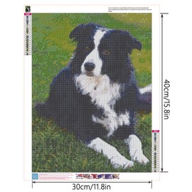YSCOLOR Diamond Painting Round Diamond Painting Border Collie Dog DIY Rhinestone Embroidery Art Adult by Numbers Painting Craft Set Home Decoration Gifts 30 x 40 cm