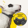 Dogtra iQ NO BARK Replaceable Battery Conductive Plastic Contact Points