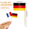 CIYIN Flag Toothpick, Toothpick with Flags, 100 Different Country Flags,