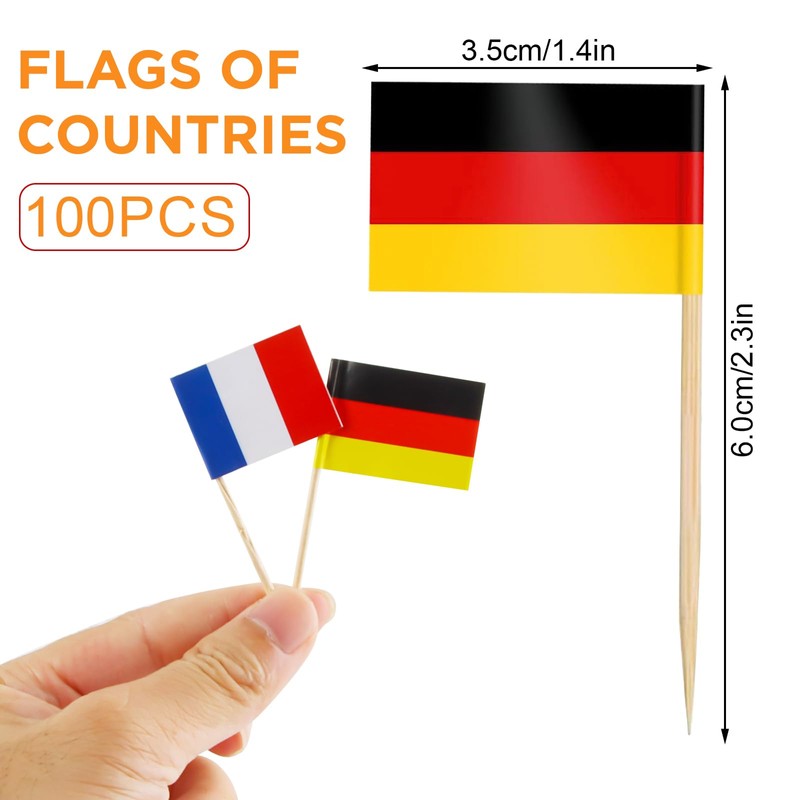 CIYIN Flag Toothpick, Toothpick with Flags, 100 Different Country Flags,