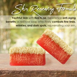 STORELUXY 2-Pack 260gr Red Rose Soap Bar With Pumpkin Fiber Natural Handmade Loofah | Oil Balance, Dryness, Collagen, Blackheads and Acne, Vitamins C and E, Nourishing, Anti-Aging, Anti Allergic
