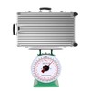 Tada 150kg/330lbs Heavy Duty Industrial Scale Mechanical Kitchen and Food