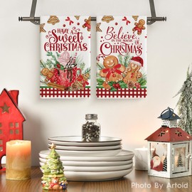 Artoid Mode Hot Coco Xmas Gingerbread Have A Sweet Christmas Kitchen Towels Dish Towels, 18x26 Inch Daily Seasonal Winter Decoration Hand Towels Set of 2