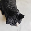 Vivid Arts Dreaming Cat Black & White Ornament – Peaceful