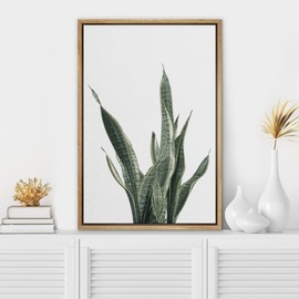 SIGNWIN Framed Canvas Print Wall Art Green Snake Plant on White Background Floral Plants Photography Modern Art Rustic Relax/Calm Cool for Living Room, Bedroom, Office - 16"x24" Natural