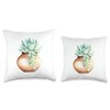 NaturAli Images Succulent in a Clay Pot Throw Pillow, 18x18,