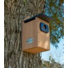 Cedar Standard Bluebird House (Blue)