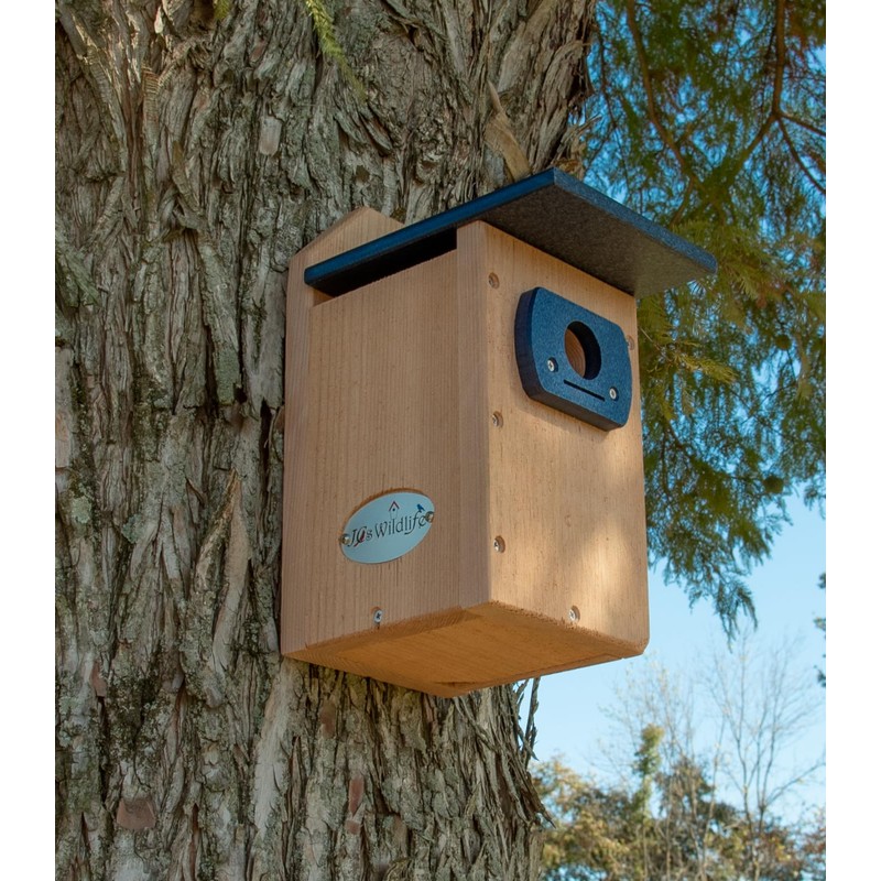 Cedar Standard Bluebird House (Blue)
