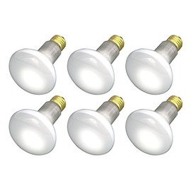 (Pack Of 6) 30R20/FL 120V - 30 Watt R20 Flood - E26 Base 30W - Light Bulbs