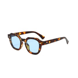 Long Keeper Retro Polygon Square Sunglasses 90s Vintage Hexagon Sunglasses Classic Square Eyewear Unisex UV Protection (Leopard Blue)