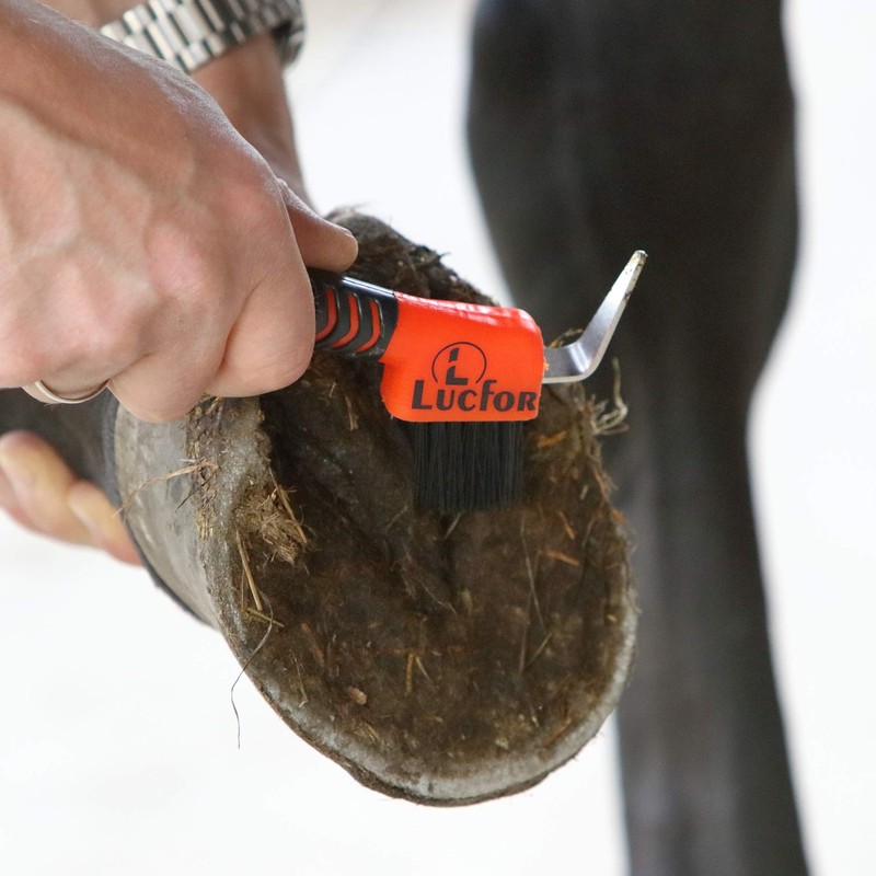 LUCFOR Horses Hoof Pick Gel Grip 2 in 1 Scraper