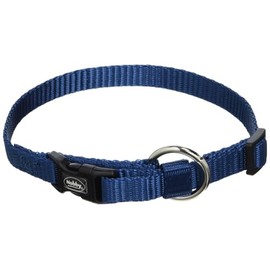Nobby Dog Collar Classic