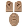 3D Nose and Mouth Model Silicone Ear Model Simulation Display