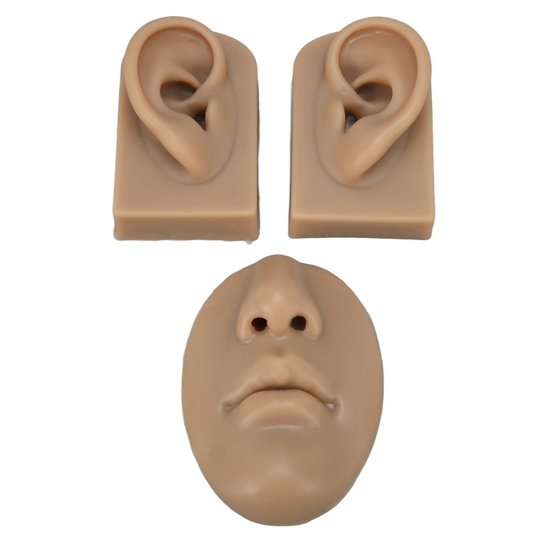 3D Nose and Mouth Model Silicone Ear Model Simulation Display