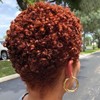 Short Curly Pixie Wig, Auburn Red Brown Hair Synthetic Heat-Resistant