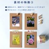 Paper Entrance Photo Frame for Cheki, 20 Pieces, Kraft Cardboard,