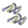 2Pcs Ribbon Leis Double Braided Necklace Graduation Congrats Accessory for