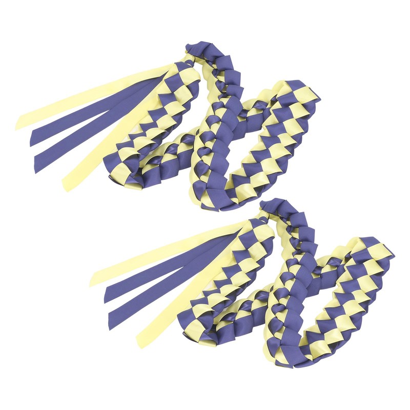 2Pcs Ribbon Leis Double Braided Necklace Graduation Congrats Accessory for