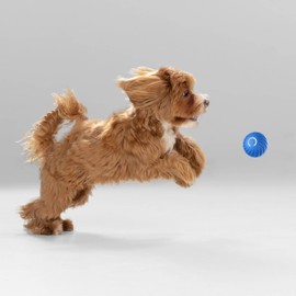 Automatic Bouncing Rotating Ball for Puppies and Small Dogs (Blue, 1, Count)