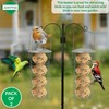 ADEPTNA Set of 2 Premium Hanging Fat Ball Wild Bird