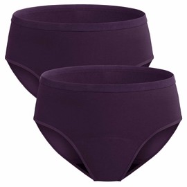 REELINDRY Incontinence Underwear for Women Washable, Adult Underwear for Incontinence Women Bladder Leakage 2 Pack (Berry, L)