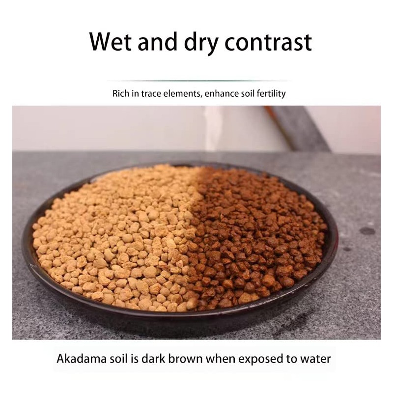 ZzbTwinkle Japanese Super Hard Akadama Bonsai Soil - Medium Grain