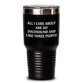 Funny Dachshund Dog Lover Gifts: All I Care About Are My Dachshund And Like Three People Valentine's Day Mugs and Tumblers for Dachshund Dog Enthusiasts, Unique Gifts from Family