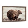 Brown Bear Framed Wall Art - Wildlife Picture Wild Animals