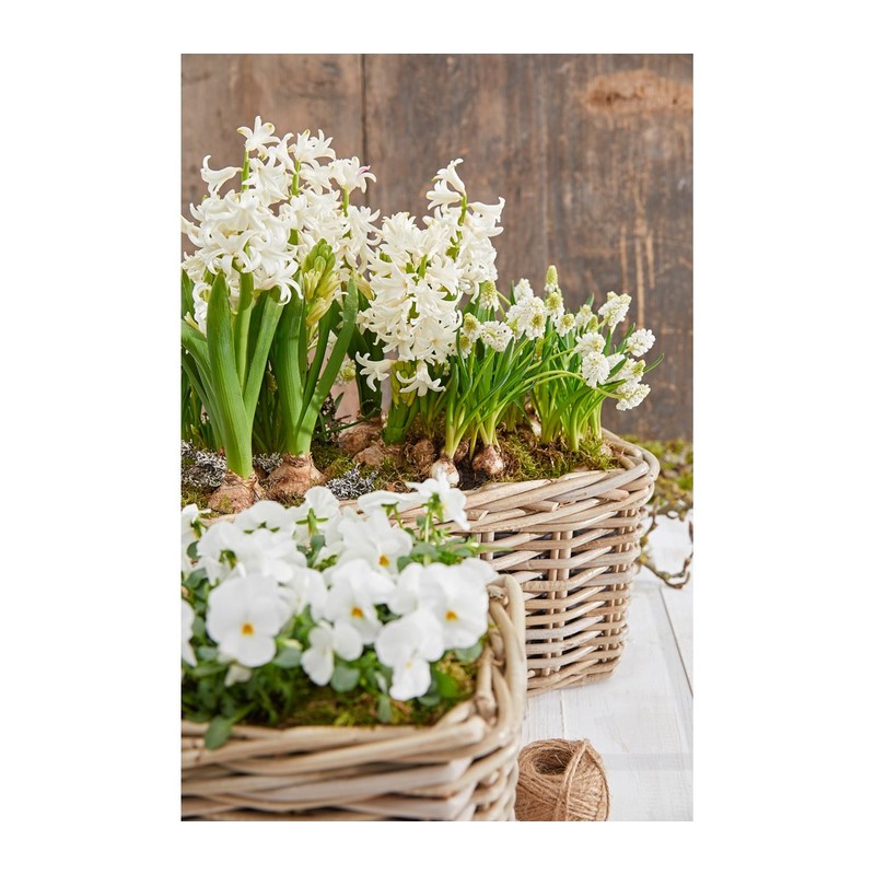 Dehner Rattan Planter, Approx. 30 x 15 x 15 cm,