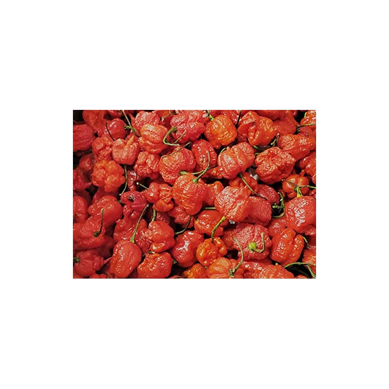 Dragons Breath 5+ Dried Peppers