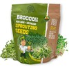 Todd’s Seeds - Sprouting Broccoli Seeds - Calabrese Variety, Non-GMO,